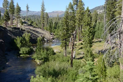 DSC_3852 (Large).JPG